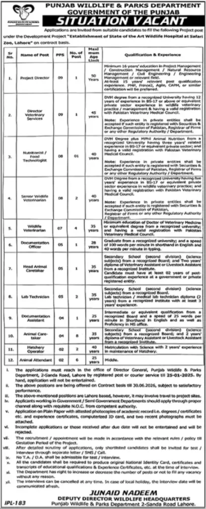 Wildlife Jobs 2025 Punjab