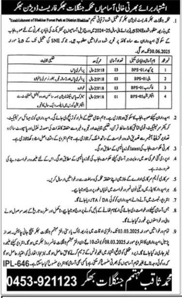 Mehkma Janglat Jobs 2025